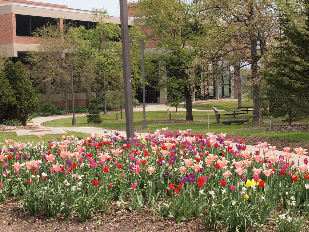 University of WisconsinParkside Village & Town of Somers, WI