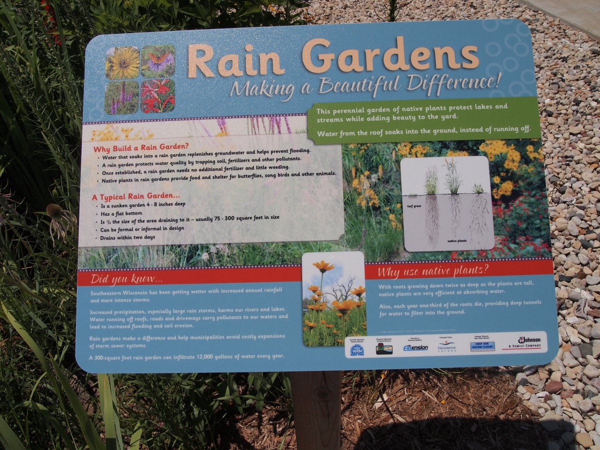 Build a Rain Garden  12,000 Rain Gardens